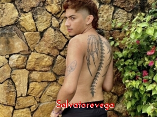 Salvatorevega