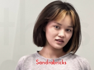 Sandrabricks