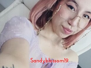 Sandyblossom19