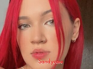 Sandycase