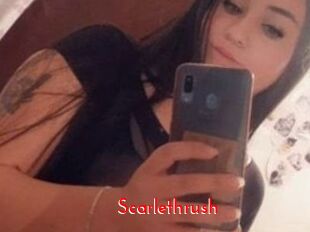 Scarlethrush