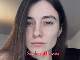 Seekeroftheone