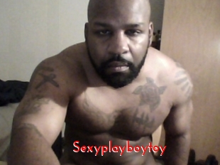 Sexyplayboytoy