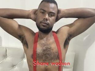 Shane_wadson