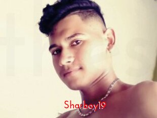 Sharboy19