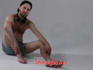 Shininghusky