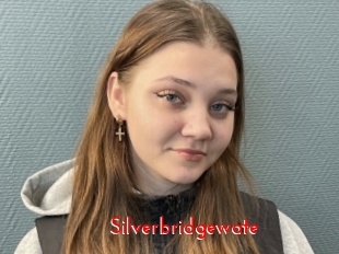 Silverbridgewate