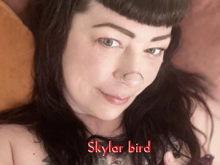 Skylar_bird