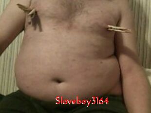 Slaveboy3164