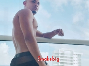 Snakebig