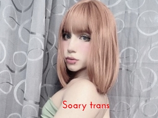 Soary_trans