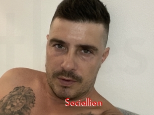 Sociallion