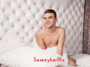 Sosexykarllfu