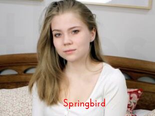 Springbird