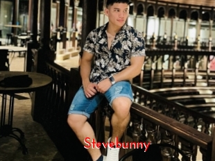 Stevebunny