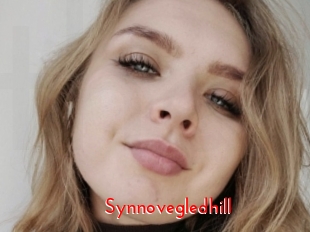 Synnovegledhill