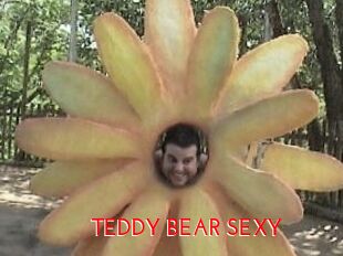 TEDDY_BEAR_SEXY