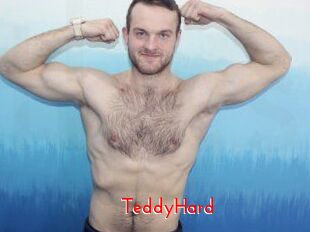 TeddyHard The Sex