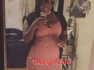 TheBigFine304