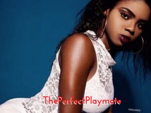 ThePerfectPlaymate