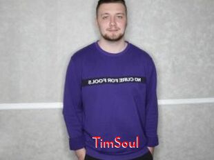 TimSoul