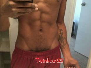 Twinkcut22