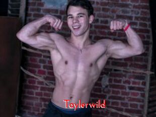 Taylerwild