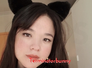 Terminatorbunny