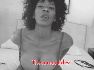 Thecamgoddess