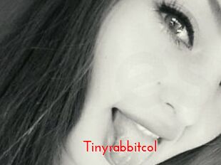 Tinyrabbitcol