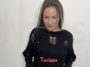 Torisan