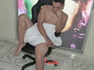 Torito