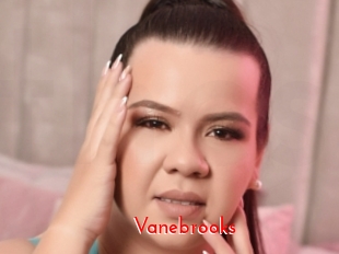 Vanebrooks