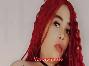 Vanesamude