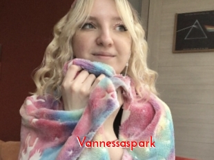 Vannessaspark