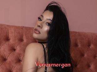 Venusmorgan