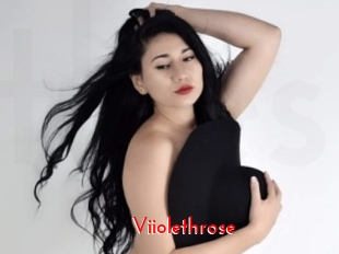 Viiolethrose