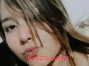 WILDSLAVEKTI