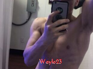 Waylo23