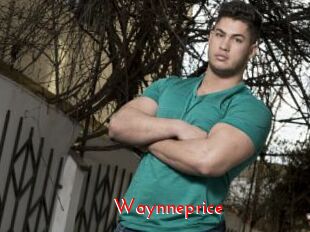 Waynneprice
