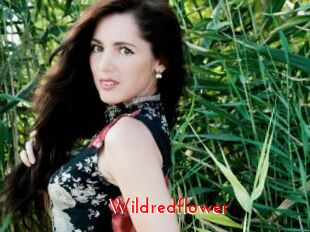 Wildredflower