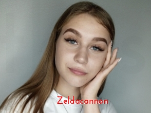 Zeldacannon